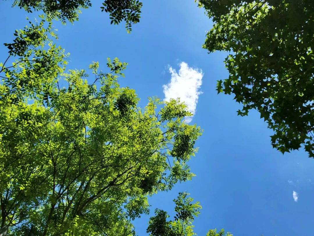 54dbafd09475b44bcb8bdebe2a8748e6