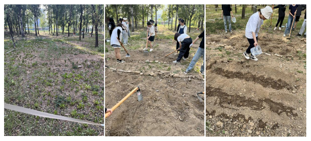 d8bafaa0bfc142fcb70d8f1aa41b8e92.png d8bafaa0bfc142fcb70d8f1aa41b8e92.png